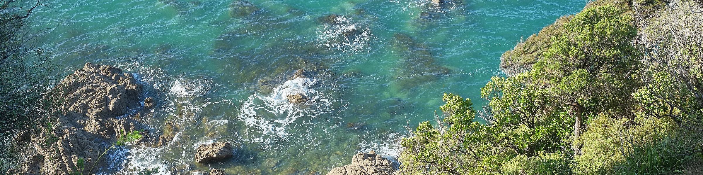 Turquoise water breaking over the rocky coast below the Coastal Track