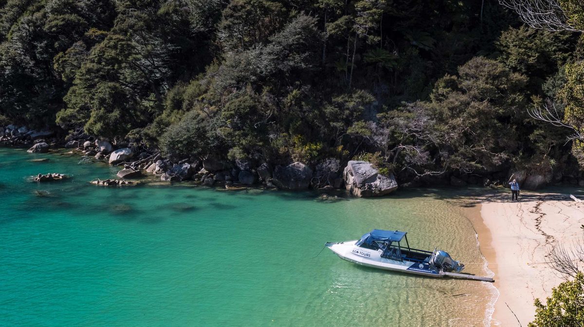 Abel Tasman Eco Tours photo 2