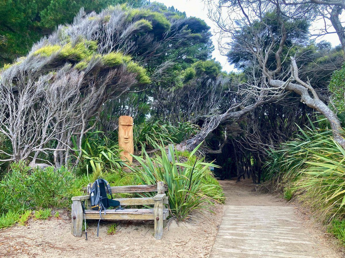 Abel Tasman Guides photo 2