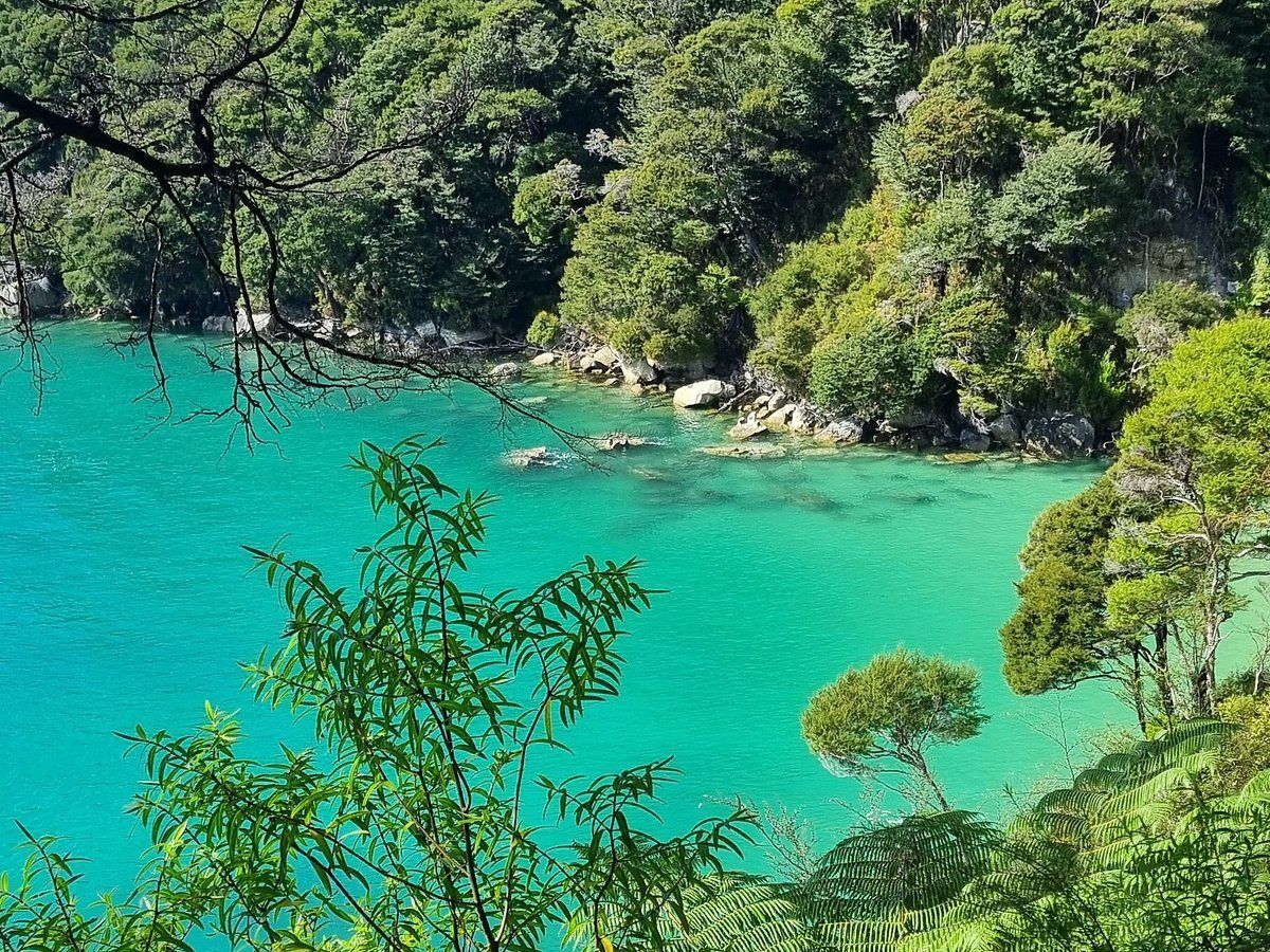 Abel Tasman Guides photo 3
