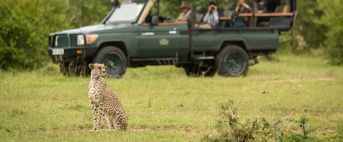 African Safaris Ltd (New Zealand) photo 2