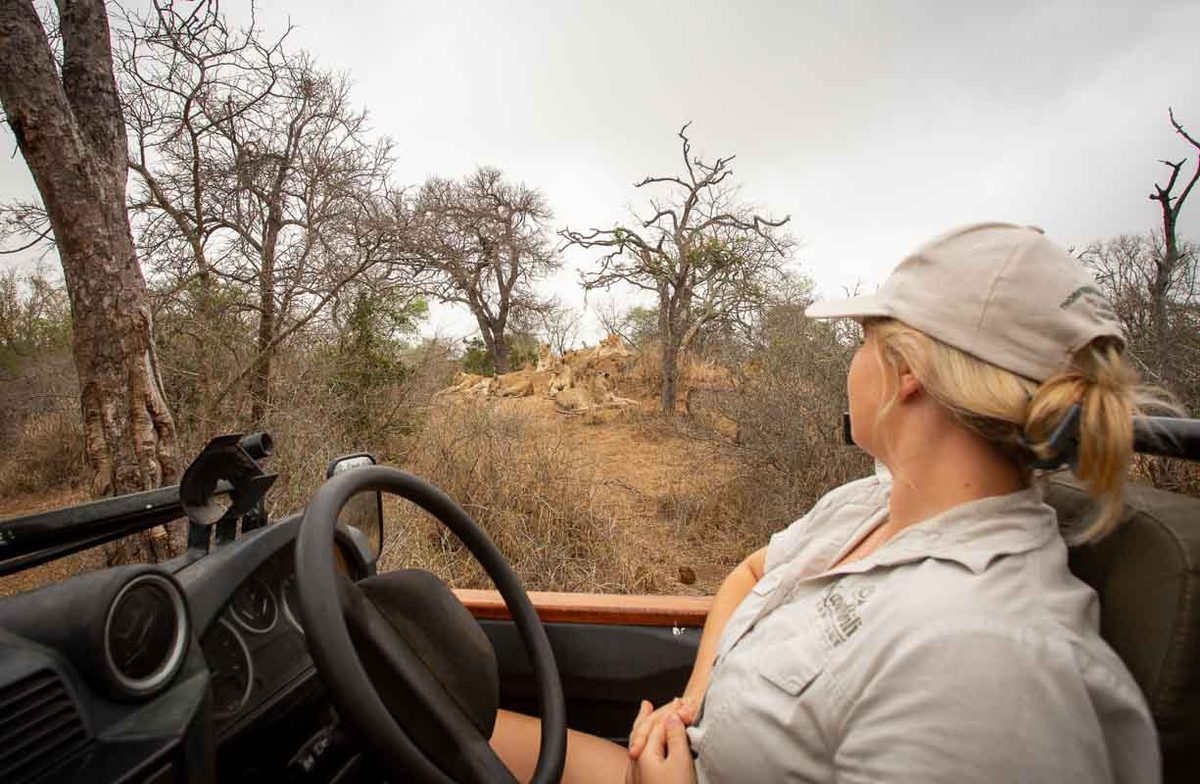 African Safaris Ltd (New Zealand) photo 3