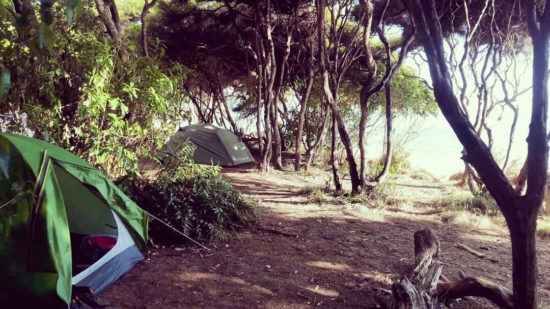 Anapai Bay Campsite photo 2