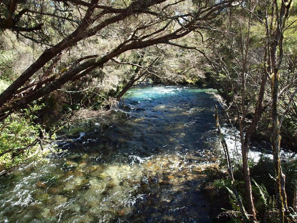Annie's nirvana lodge photo 2