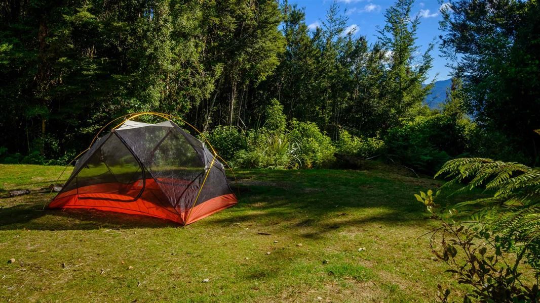Aorere Shelter Campsite photo 1