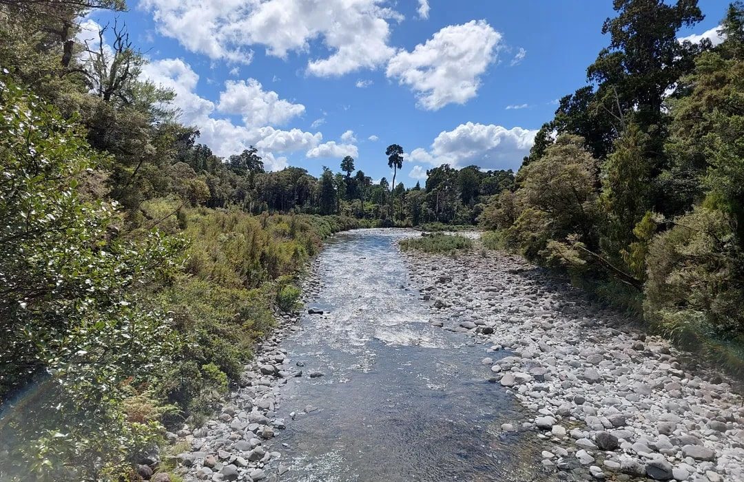 Aorere Shelter Campsite photo 3