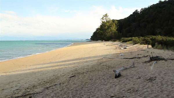 Apple Tree Bay Campsite