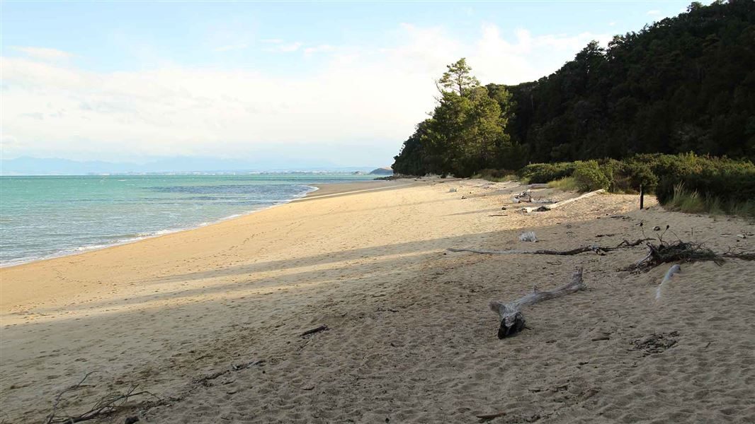Apple Tree Bay Campsite photo 1