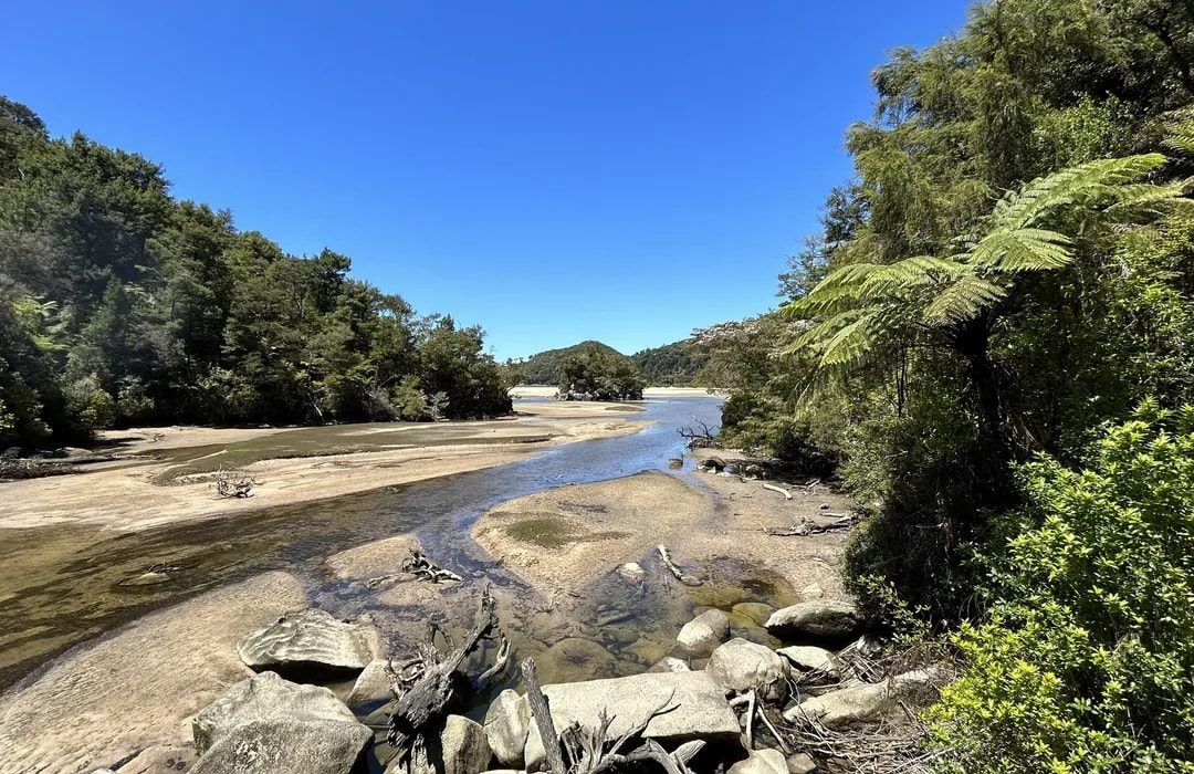Awaroa Campsite photo 2
