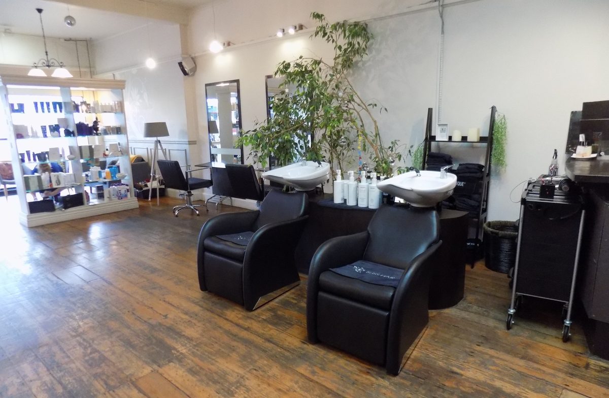 Bliss Hair Design photo 1