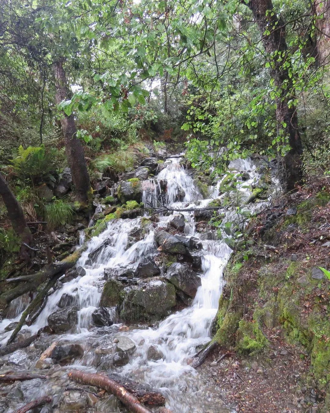 Bourbon Whisky Falls photo 2