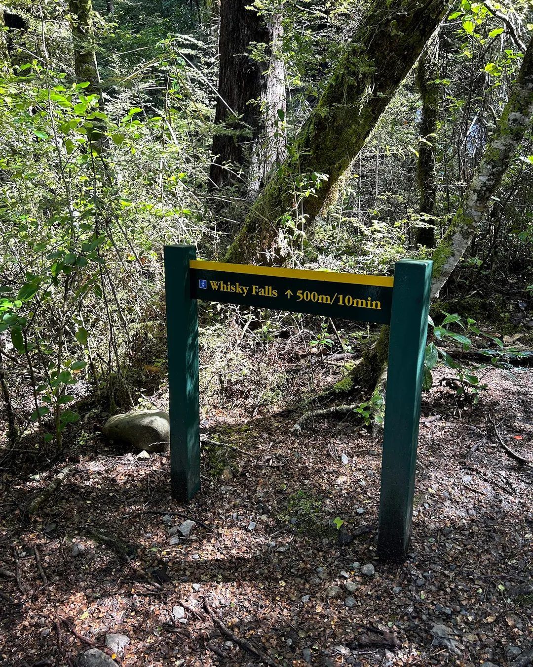 Bourbon Whisky Falls photo 3
