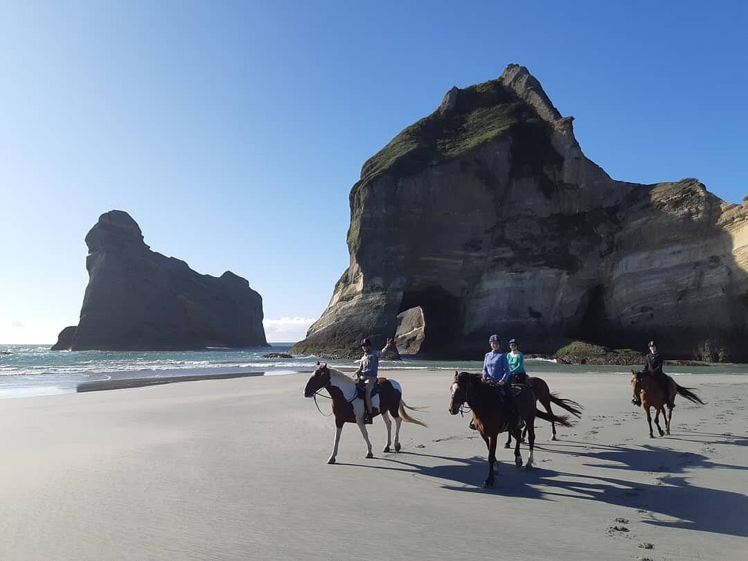 Cape Farewell Horse Treks photo 2