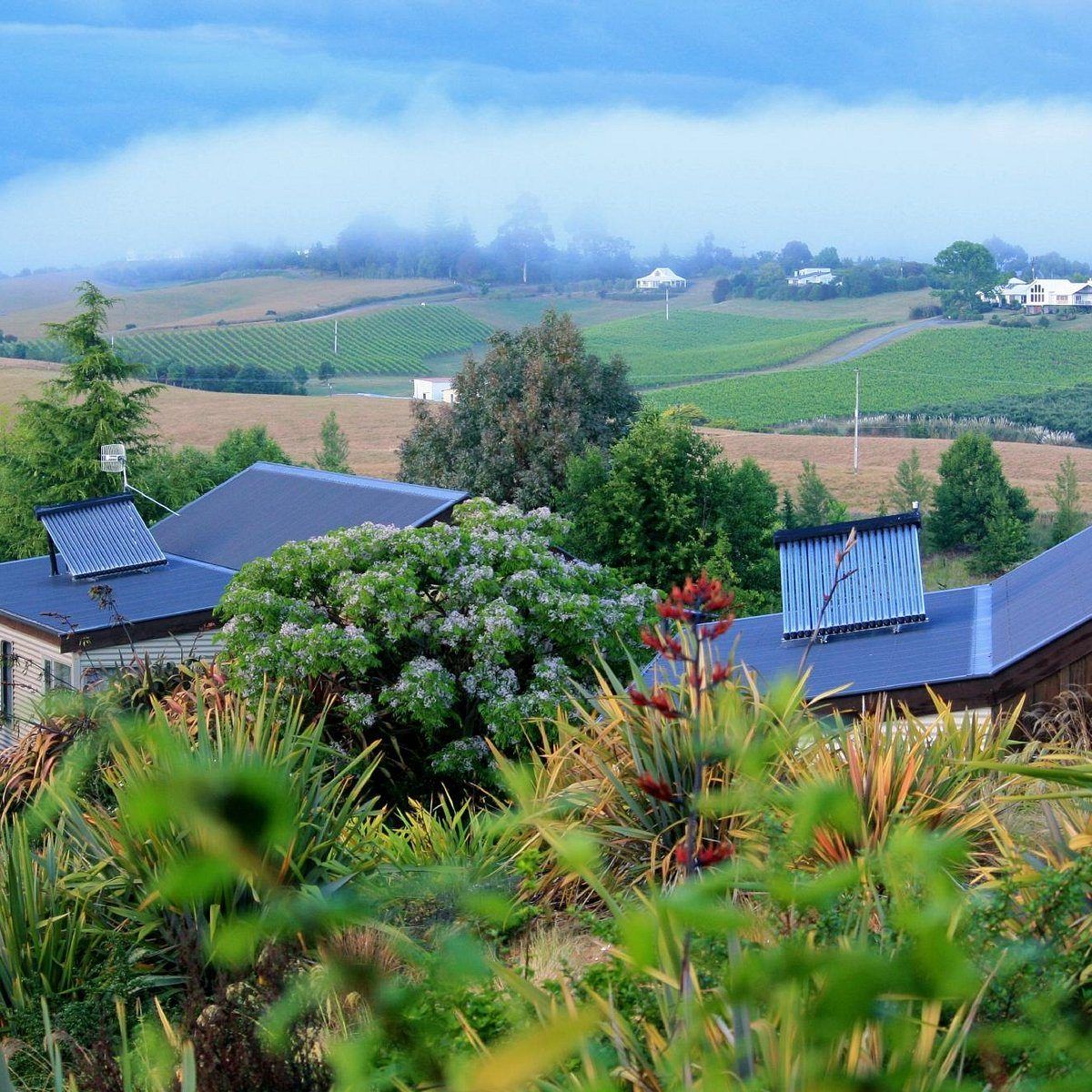 Clayridge House and Cottages Mapua Ruby Bay NZ photo 3