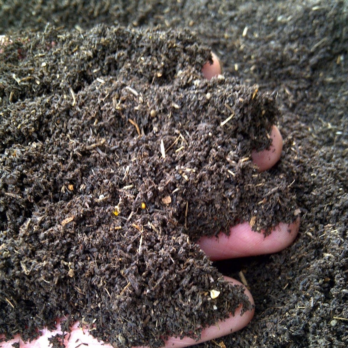 Compost Shop photo 1