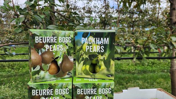 Echodale Marketing (Echodale Orchard)