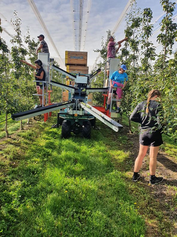 Echodale Marketing (Echodale Orchard) photo 2