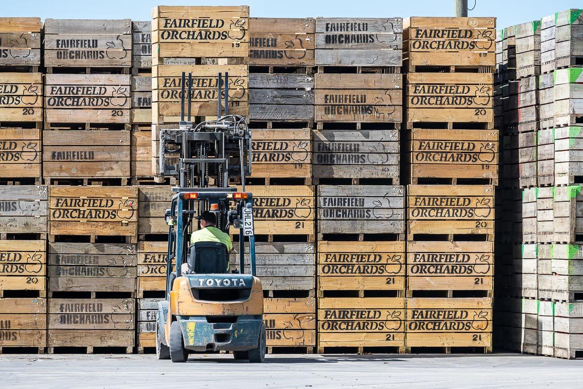 Fairfield Orchards Ltd photo 3