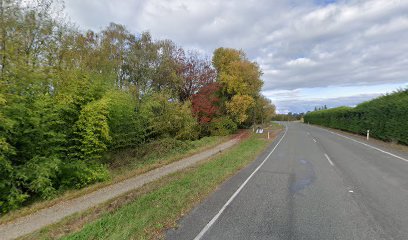 Find Your Hidden Treasure photo 1