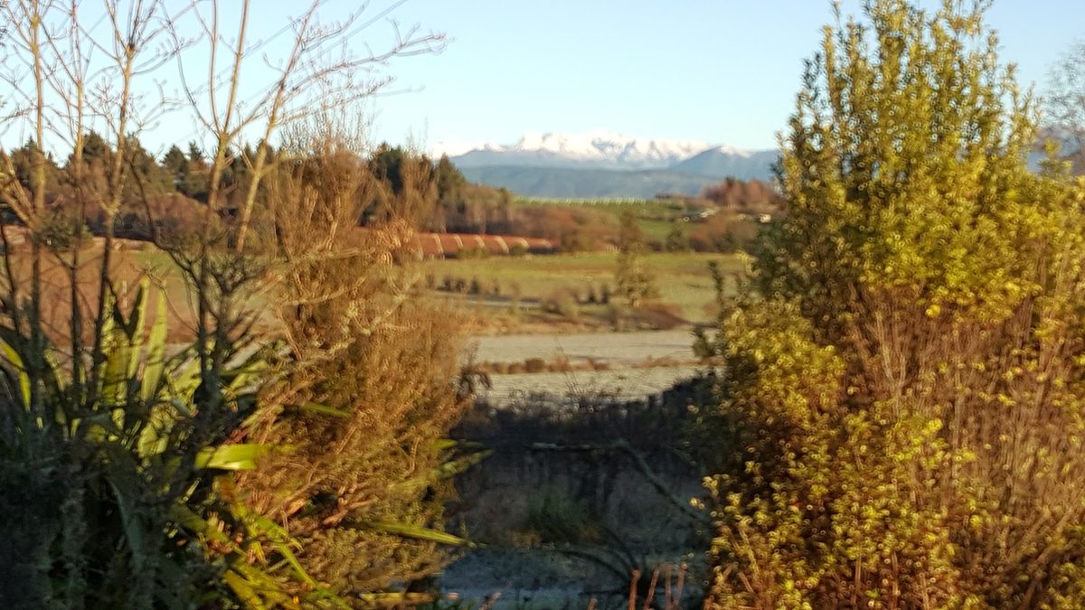 Glover's Vineyard photo 1