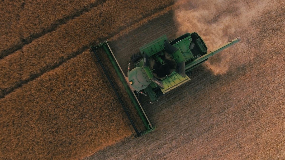 Go Accounting Rural | Agribusiness Specialists | Nelson Tasman photo 3