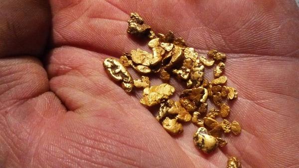 Gold Hunting Adventures