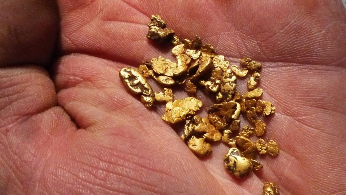 Gold Hunting Adventures photo 1