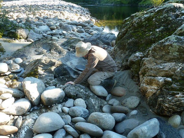 Gold Hunting Adventures photo 3