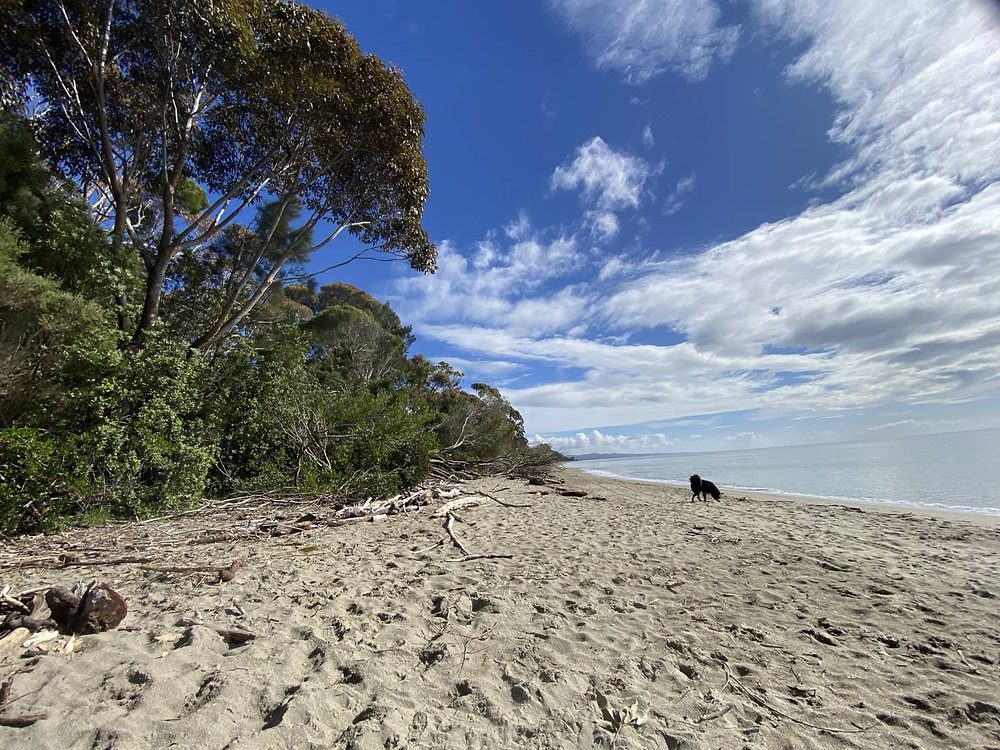 Golden Bay Holiday Homes photo 2