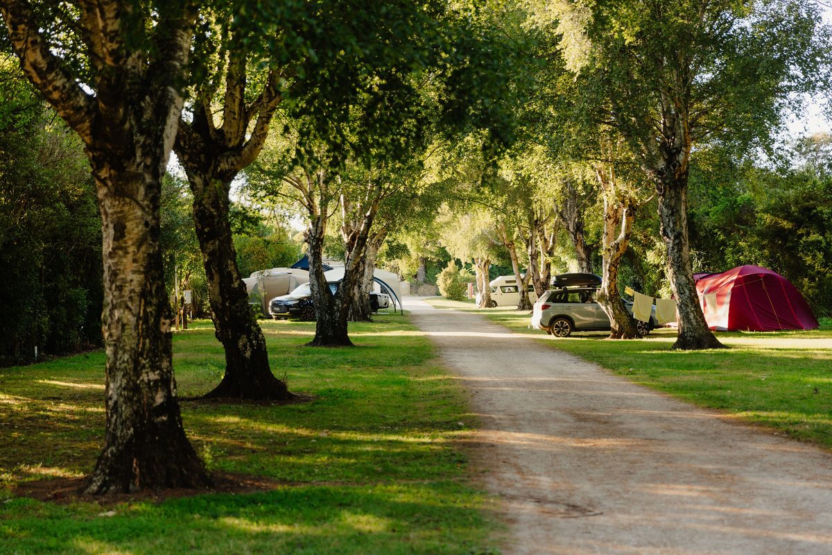 Golden Bay Holiday Park photo 3