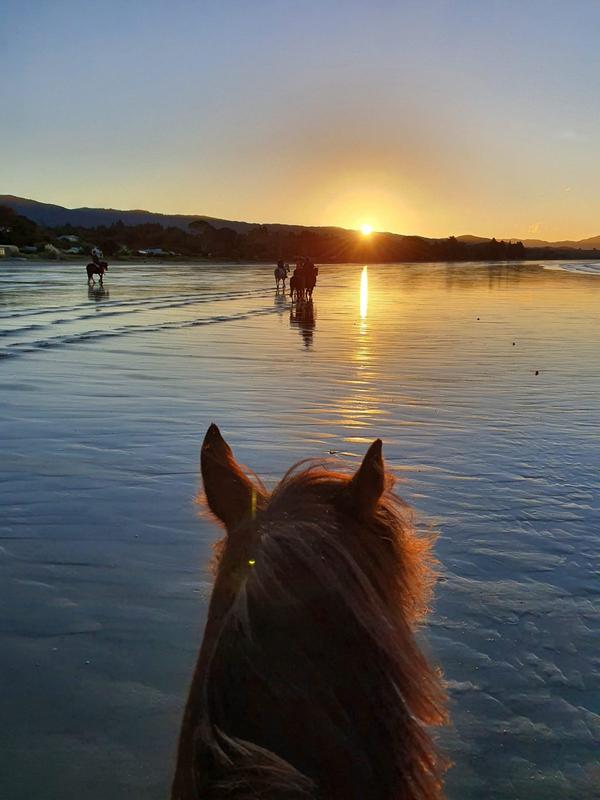 Hack'n Stay Golden Bay, Beach Horse Riding, Camping, Accommodation