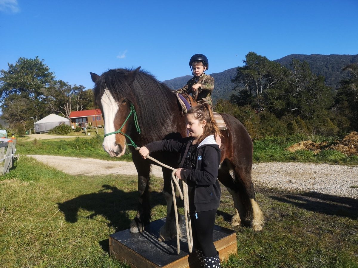 Hack'n Stay Golden Bay, Beach Horse Riding, Camping, Accommodation photo 3