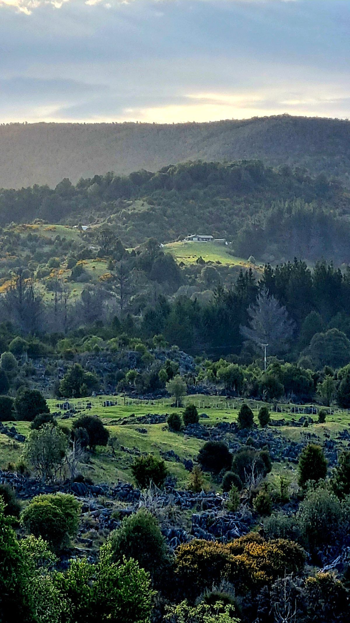 Hidden Valley Farm photo 2
