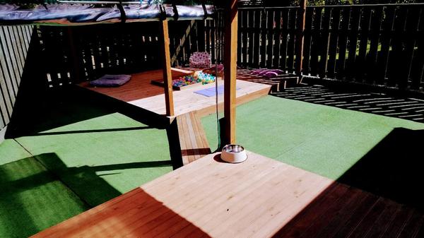 Hole Diggers Dog Spa