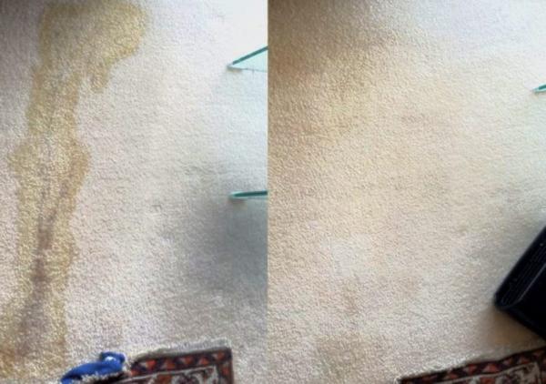 Intensive Carpet Clean Nelson