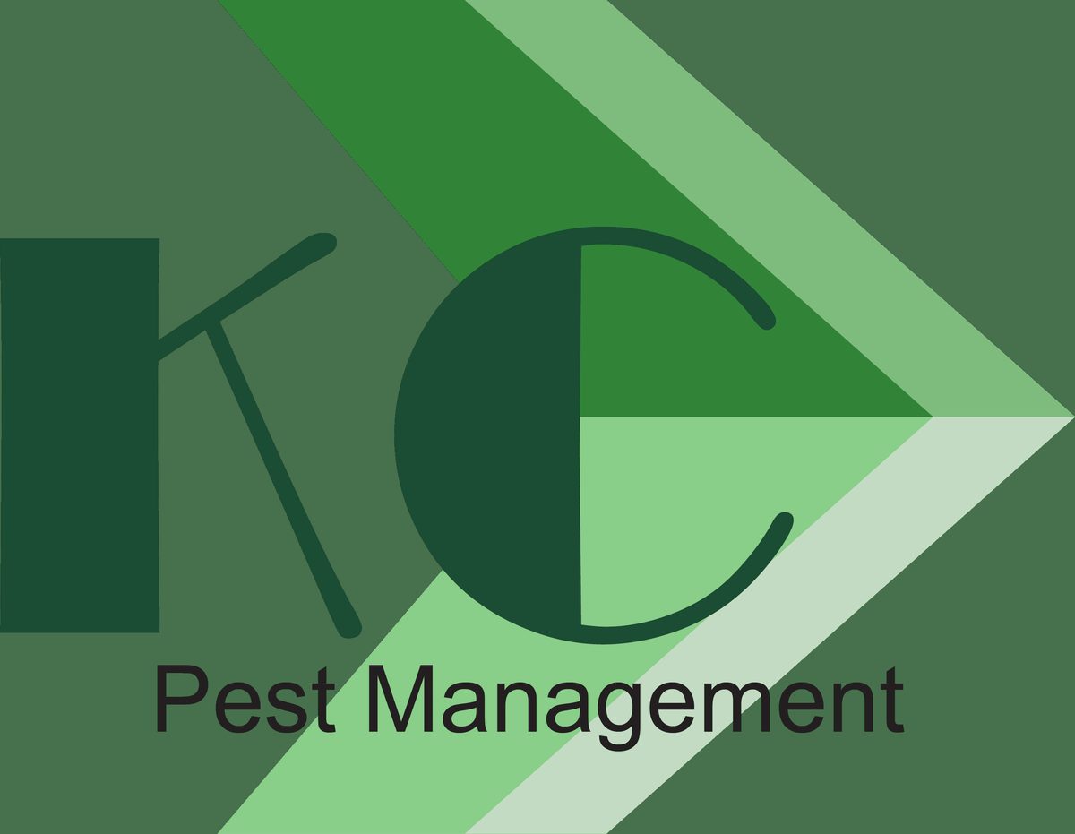 KC Pest Management photo 3