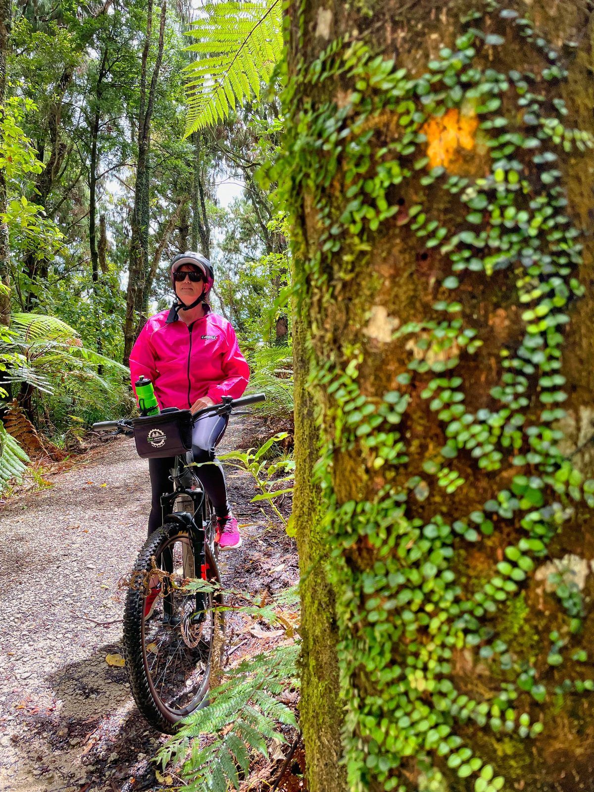 Kiwi Journeys Bike Hire Kaiteriteri Mountain Bike Park photo 2