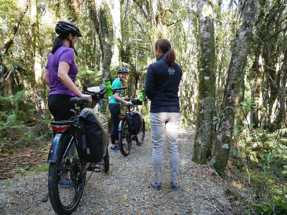 Kiwi Journeys Bike Hire Kaiteriteri Mountain Bike Park photo 3
