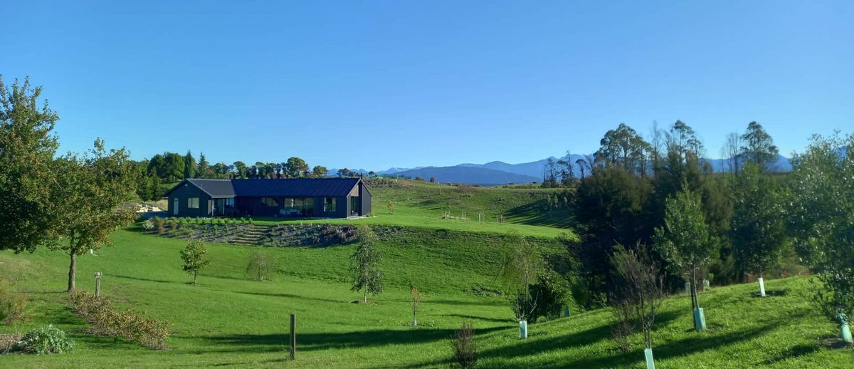 Korari Bed & Breakfast photo 1