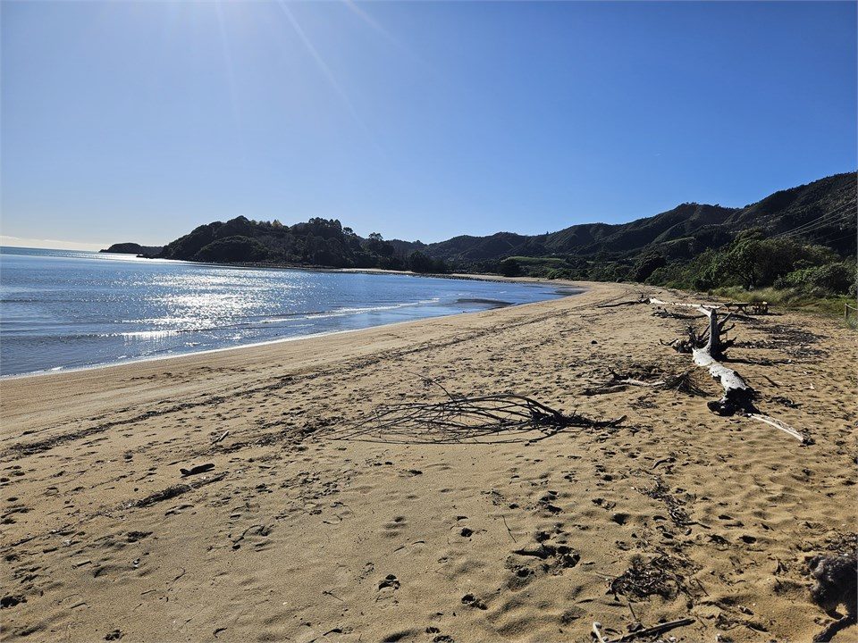 Ligar Bay Bach Beach House, Golden Bay Accommodation photo 3