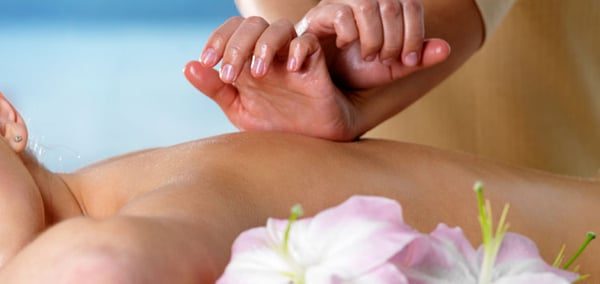 Massage Tasman photo 3