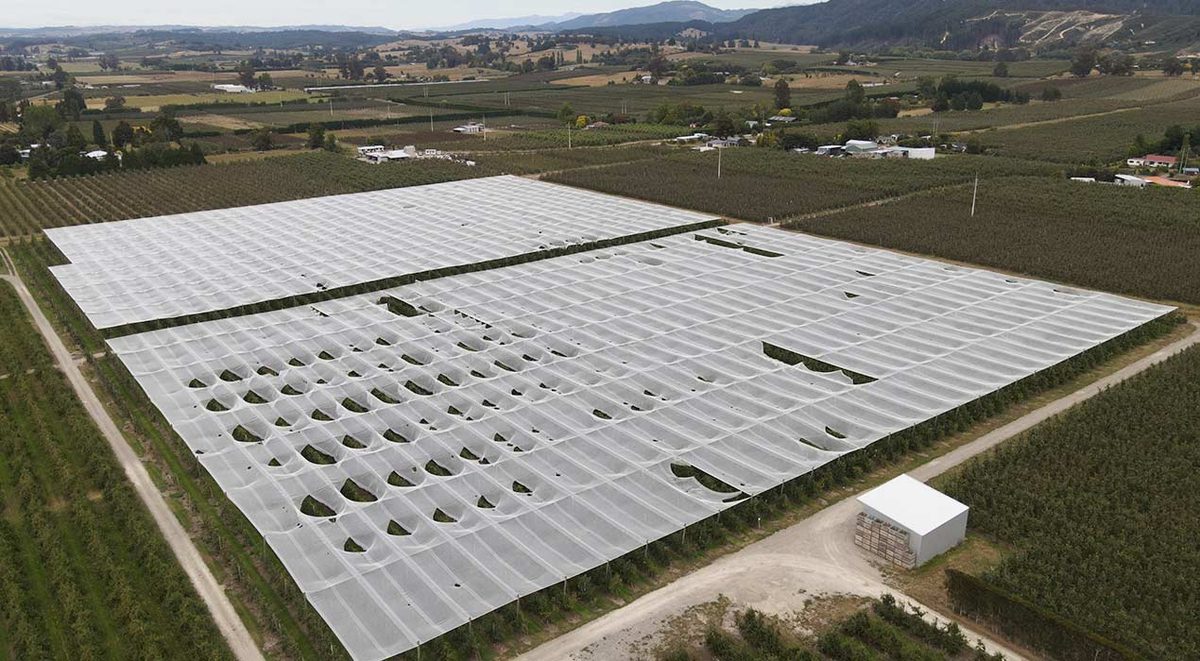Mclean Orchard photo 2