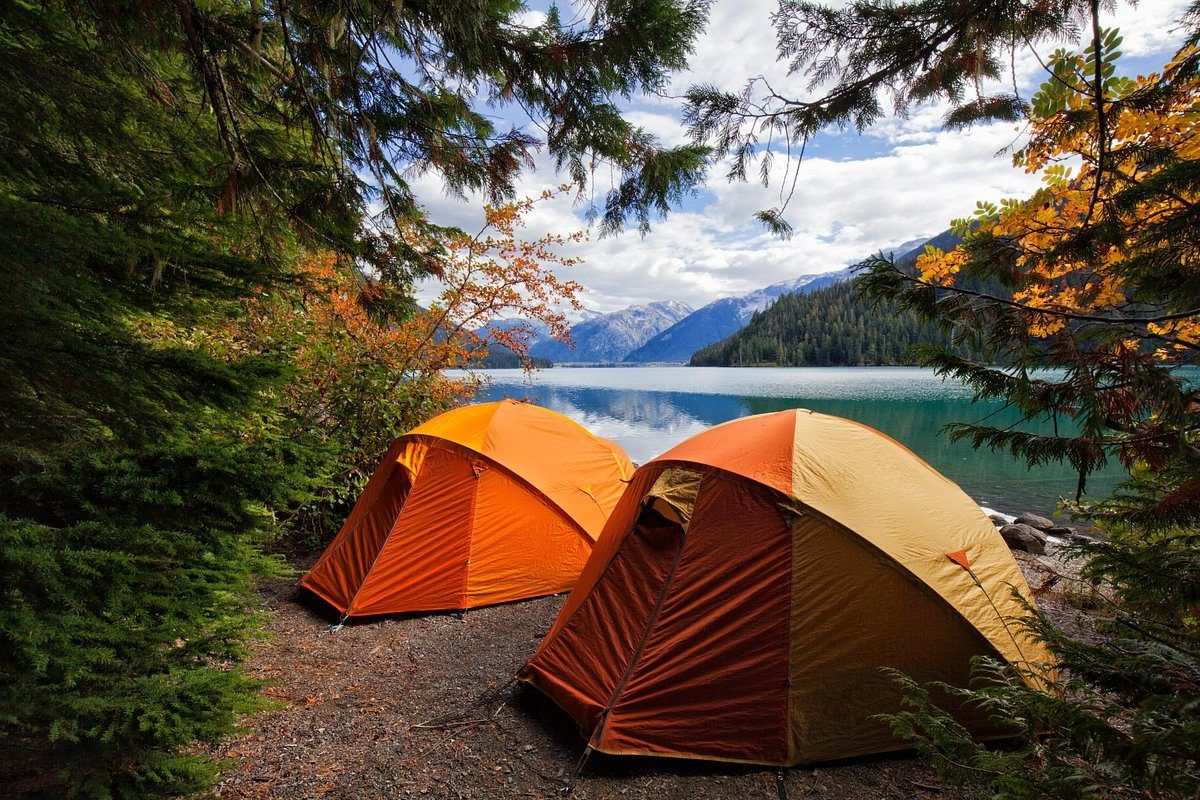 Motueka camping photo 2