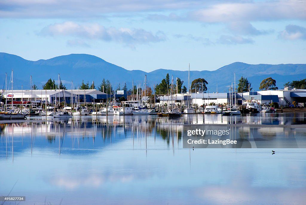 Motueka Marina photo 2