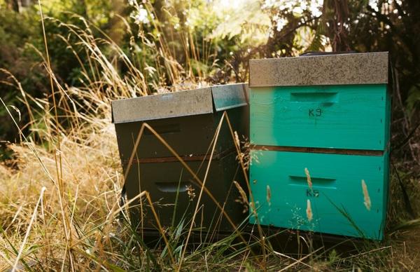 Mountain Valley Honey