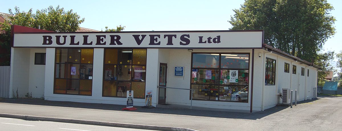 Murchison Veterinary Clinic photo 3