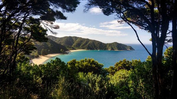 Mutton Cove Campsite