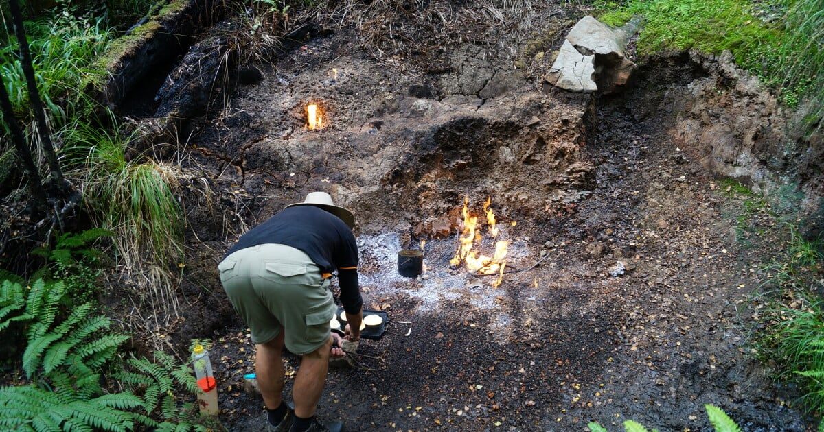 Natural Flames photo 1