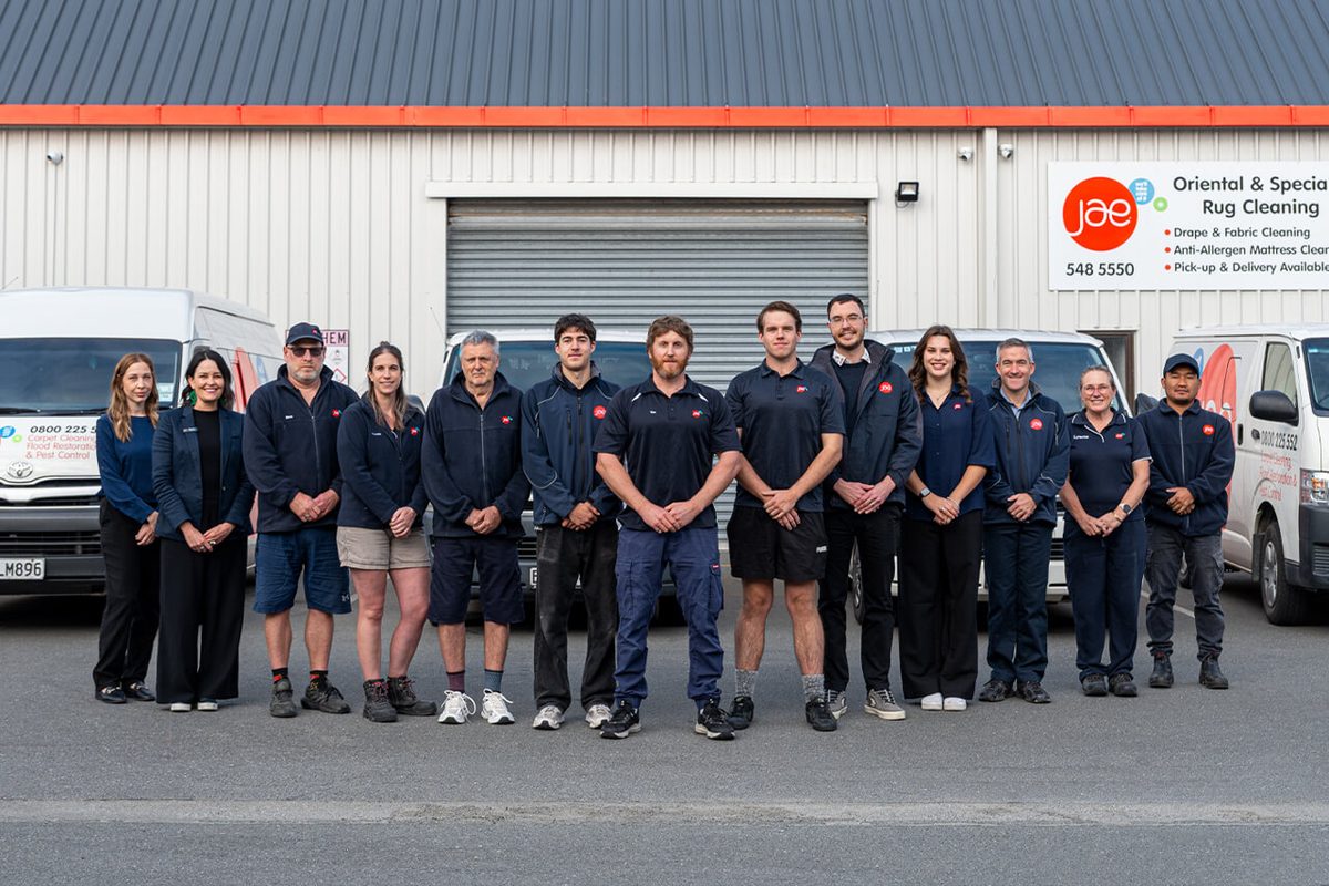 NELSON TASMAN CARPET CLEANING SERVICES photo 1