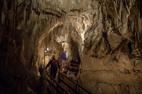 Ngarua Caves